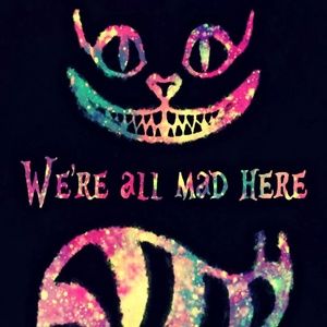 Meet your Posher, Sheena